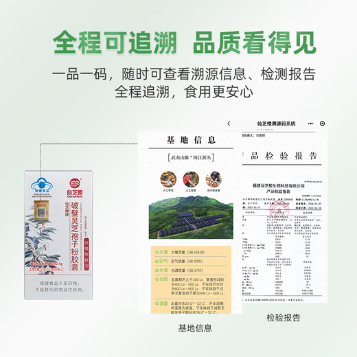 仙芝楼【国标制定】四大有机破壁灵芝孢子粉胶囊 增强免疫营养保健品 3瓶 60g 【月度量】三萜12.5g
