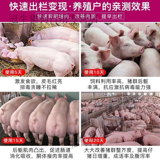 OIMG Fattening Fast Shuguang Zhuerjian Feed Additive Zhuerzhuang Shuguang Zhuerjian Piglet Fattening Increase 1 Bag Zhuerzhuang