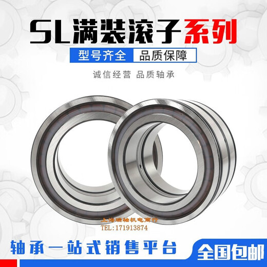 Chengdejing ina Vollrollenlager SL04 5010 5011 5012 5013 5014 5015 5016PPNR SL04-5014PP