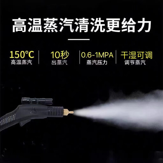 Ruizhi household high-pressure and high-temperature steam cleaner, household appliances, range hood, air conditioner, kitchen multi-function equipment, special cleaning all-in-one machine to disinfect car beauty film interior 3600W five-in-one (cold water hot water steam pulse ozone)