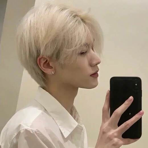 MOLC all-over 925 silver earrings niche design earrings 2025 new handsome men's trendy personality men's earrings men's geometric earrings E0723 silver