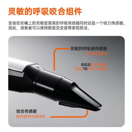 
Roland (Roland) AE20 electric hair tube electronic saxophone blow tube adult elderly electronic tube blowing instrument + piano bag