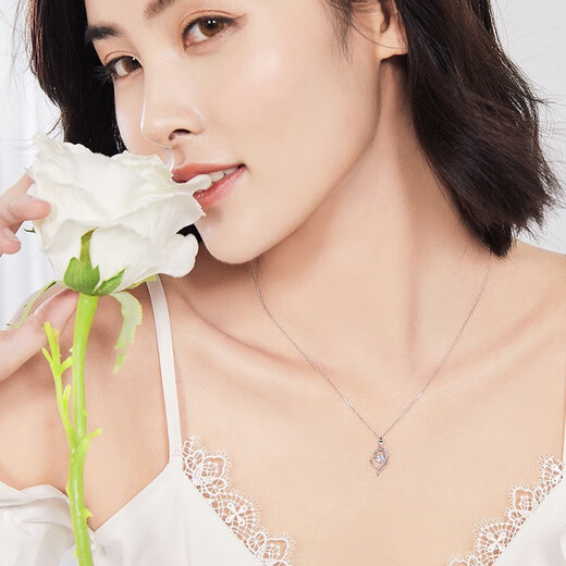 Ji Shizhe (GIEVSZHE) pt950 platinum platinum necklace women's clavicle chain moissanite diamond pendant Chinese Valentine's Day birthday gift for girlfriend Noble platinum 950 model - inlaid with high-quality moissanite diamond