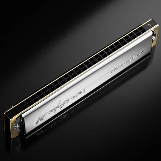 
TOMBO (TOMBO) Japan TOMBO6624S for beginners and adult advanced performance 24 holes polyphonic 12-tune harmonica D tune