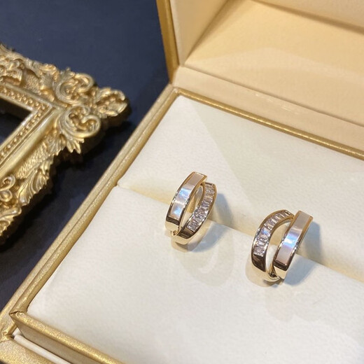 Idel double-layered earrings for women autumn niche simple earrings 2025 new Dongdaemun high-end earrings and earrings birthday gift shell double-layered earrings E0555