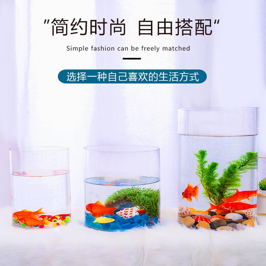 Gong Du Creative Desktop Fish Tank Ecological Round Glass Goldfish Tank Turtle Tank Mini Small Landscaping Home Aquarium Cylindrical Naked Tank Diameter 20CM Height 20CM