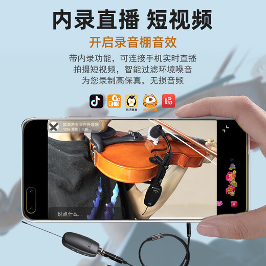 European and American sound microphone for musical instruments, saxophone, guitar, violin, professional wireless recording live broadcast pickup microphone, special for guitar playing and singing, high-end instrument microphone amplifier