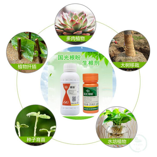 Guoguang Genpan 5% indolinacetic acid rooting agent powder plant cuttings transplanting seedling strengthening agent pesticide regulator 200ml