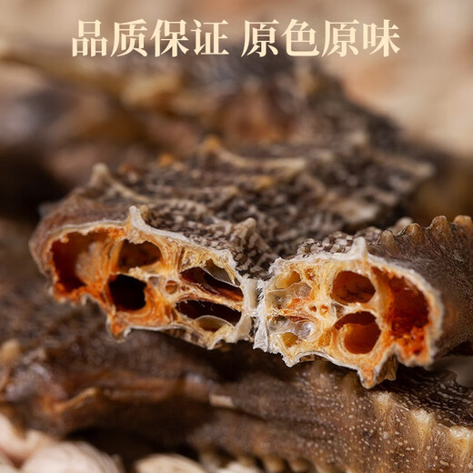 Qi Xiaofeng Haima Médicaments médicinaux [certification CAWC] Grand cheval de mer mâle et femelle une paire de biens secs Haima Hailong combinant du vin matériaux médicinaux 1 paire 2 (total supérieur à 6g)