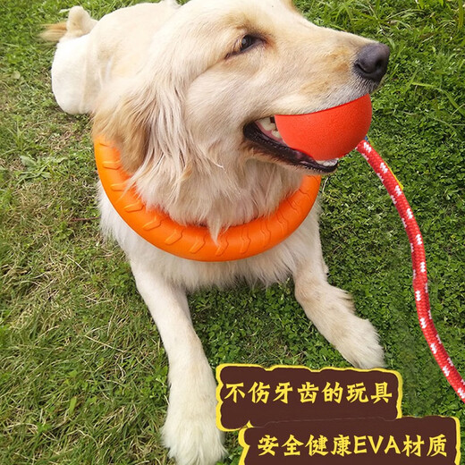 Pochido large elastic ball with rope, dog toy that is resistant to chewing and teeth grinding, self-pleasure and boredom relief artifact, large dog pet ball