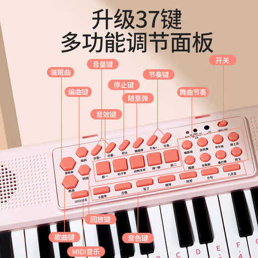 乐乐鱼（leleyu）37键电子琴儿童玩具乐器初学者早教带话筒小钢琴男女孩生日礼物