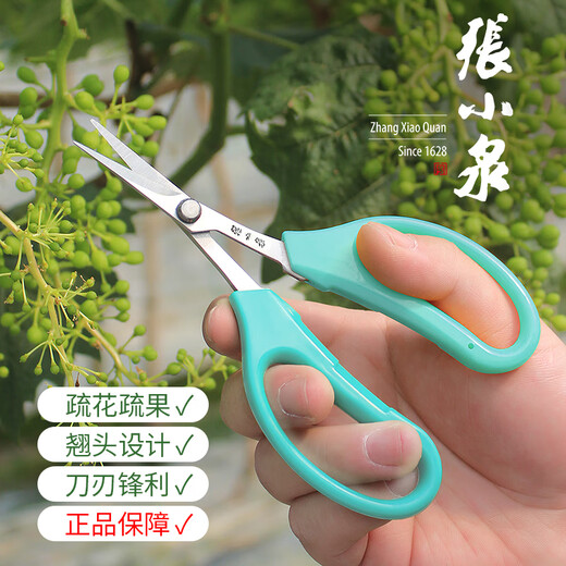 Zhang Xiaoquan's upturned grape fruit branch pruning scissors, fruit thinning, fruit pruning, pepper fruit and vegetable scissors, loquat picking, sunshine roses, Zhang Xiaoquan FL-19 two-color