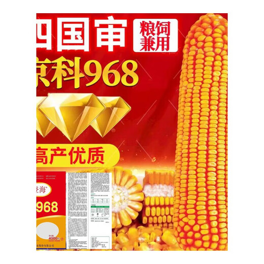 京科968高产玉米种子大全矮杆双棒抗旱涝抗病抗倒伏农科院国审苞 京科968-4000粒(一亩地)宋蔬菜种