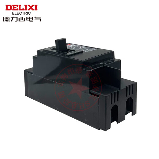 Delixi Electric DZ15 air opening 2P 40A 63A construction site dedicated DZ151002901 100A plastic case circuit breaker 100A 2P