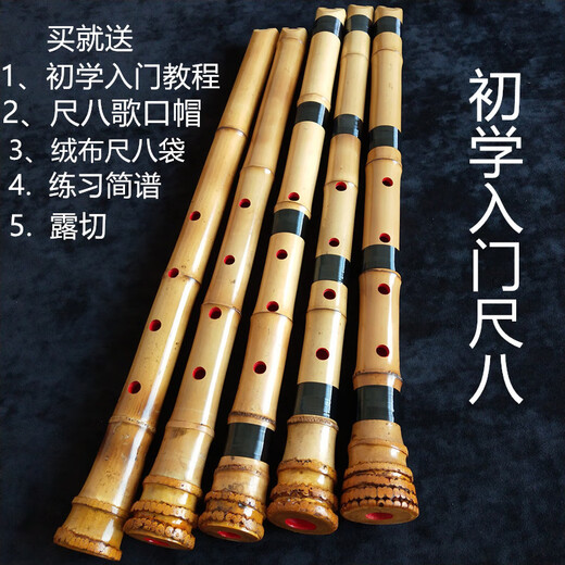 京韵尺八 正宗五孔日式尺八 初学入门尺八乐器桂竹老料手工匠心之作 D管五孔(一尺八寸)