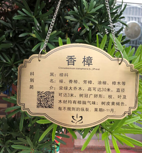 The province's excellent tree sign custom-made stainless steel metal green plant greening sign courtyard flowers and trees introduction adoption plug-in sign 10 stainless steel 10*12