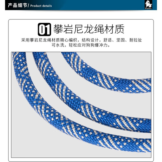 TRUELOVE pet dog leash chain snake chain P chain dog walking rope explosion-proof Okinawa P rope medium and large dog golden retriever one-piece red L-diameter 1.1cm rope length 180cm