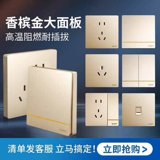 正泰（CHNT）开关插座2L金 内置钢翼家用86型暗装 墙面电源空调插座五孔大板 【热销】斜五孔十只装