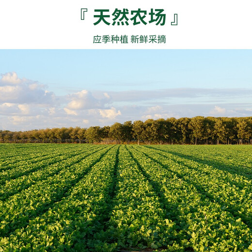 Yueweiji fresh frozen shepherd's purse stuffing 500g steamed stuffed buns and dumplings stuffing frozen vegetable semi-finished instant dishes