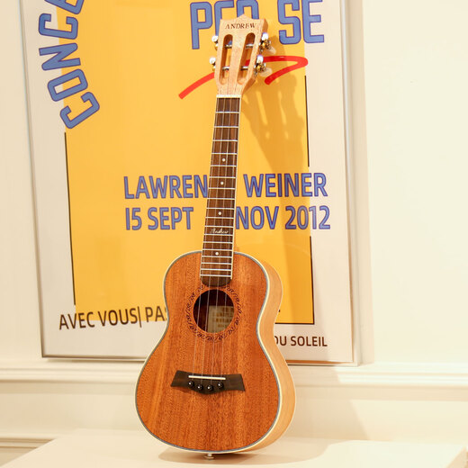 
Andrew Ukulele Beginners for Women, Men and Children's Beginners Small Guitar Musical Instruments Children's Day Gift 23 Inch [Vector Board] Log Wood Color