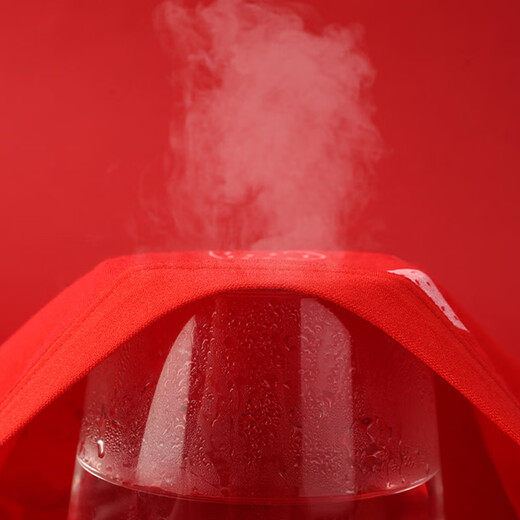 Catman children's zodiac year underwear, year of the horse, boys and girls, red underwear, medium and large children's pure cotton antibacterial Christmas underwear, boys' lucky stars, 2 pairs of socks + 2 pairs of underwear, 160, height recommendation 145-155cm