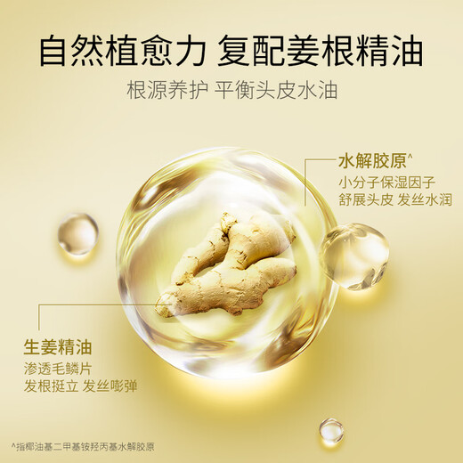 美多丝洗发水无硅油轻盈去屑止痒洗发露550ml男女通用洗发乳生姜洗头膏
