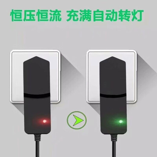 昱琅适用于莱赛激光充电器水平仪LSG686SPD/686D/649SPD/666SL充电器 LSG686充电器