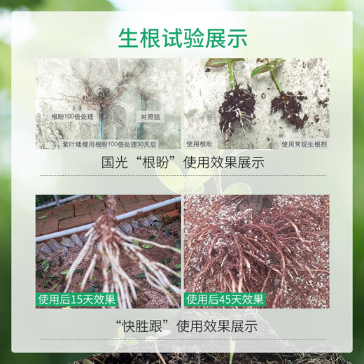 Guoguang Genpan 5% indolinacetic acid rooting agent powder plant cuttings transplanting seedling strengthening agent pesticide regulator 200ml