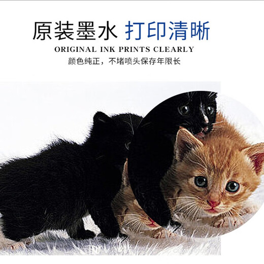 
EPSON D880 / D700 dry color expansion printer special ink cartridge 200ML original D700 light magenta LM/ 1 pc