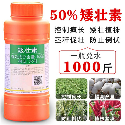 Guoguang Chymequat 50% Suppressant Vegetables, Fruits, Trees and Wheat Prevent Crazy Growth and Control Plant Growth Regulator 100ml