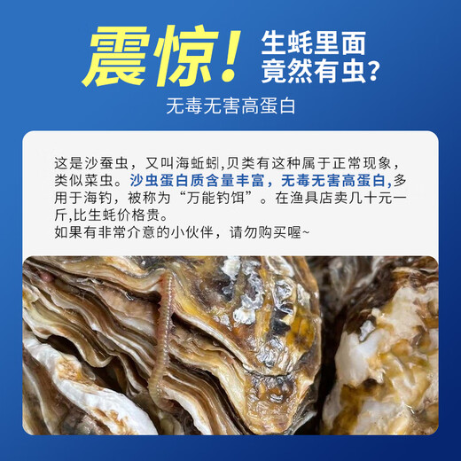 Bassling Fresh Rushan Oysters 4XL Net Weight 10Jin Jin is equal to 0.5kg 20-26 pieces Straight from the source