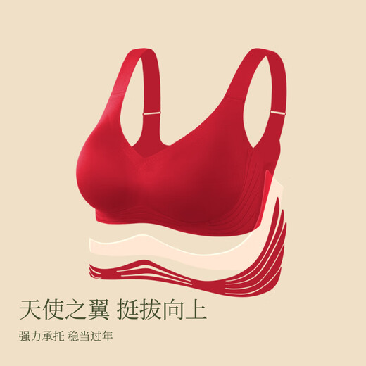 Sujiliangpin Angel Wings Inclusive Jelly Strip Underwear New Year Red Gift Box Zodiac Year Red Bra Panties Bra Set