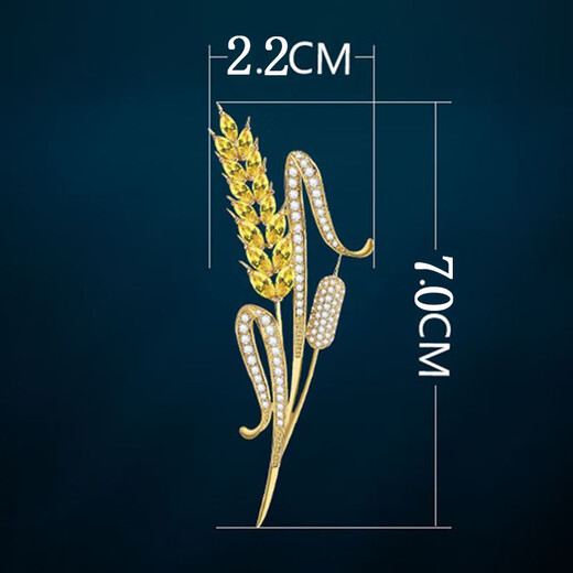 Crystal Brooch Men's Suit Coat Jacket Sweater Corsage Pin Personalized Trendy Simple Men's Badge Birthday Gift Maisui-X168