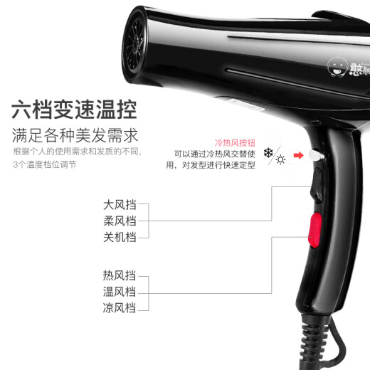 Hanhan Paradise pet hair dryer 3200 six-speed scented high-power dog hair dryer golden retriever Teddy cat hair dryer for small and medium-sized dogs dog supplies