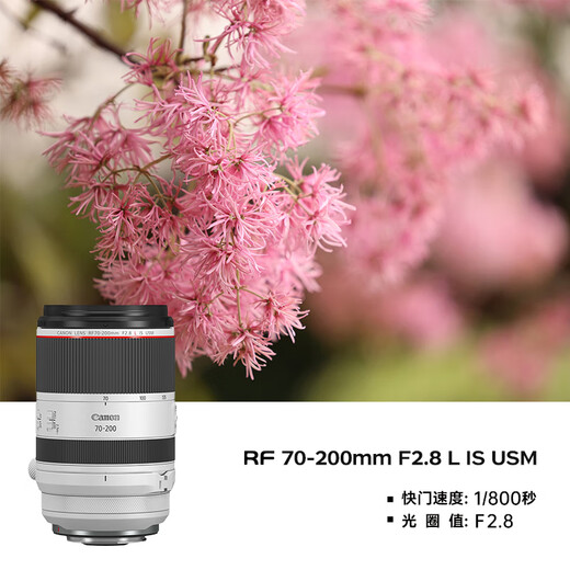 Canon r5 professional mirrorless camera, bird shooting equipment, digital camera, eos r5 full frame Vlog camera, 8K video shooting, place an order for Labubu & Jindou R5 disassembled body + RF24-70 + RF70-200 dual lens, package three, original shoulder bag + outdoor fill light + professional photography tripod