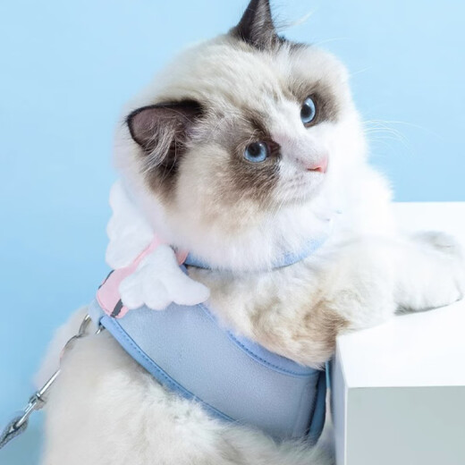 Nervous cat (shenjingmao) cat traction rope anti-breakaway cat rope traction cat rope small dog pet high-looking walking cat traction rope angel big-eared dog XL extra large (applicable to 15Jin [Jin equals 0.5 kg] and above)