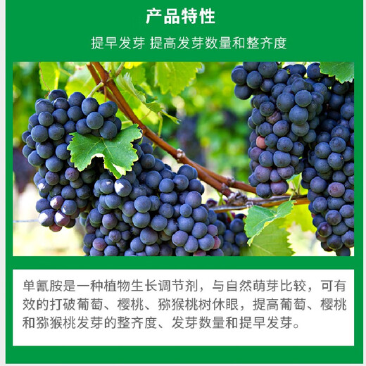 Beautiful bud 50% cyanamide sleep-breaking germination agent grape nectarine cherry kiwi fruit cyanamide cyanamide growth regulator 250ml