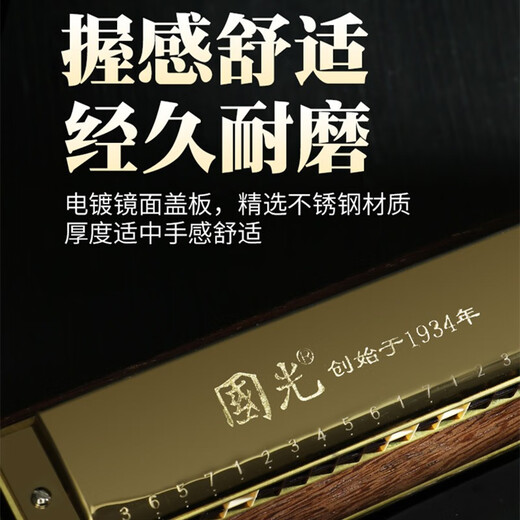 国光口琴重音28孔男女初学者学生儿童入门复音C调演奏级 黑色【28孔复音C调+自学礼包+视频教程】