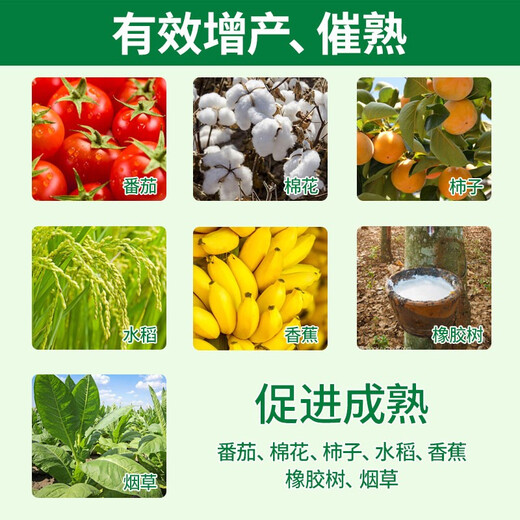 Guoguang Ethephon Tomato Banana Persimmon Rice Cotton Rubber Tree Ripening Increase Yield Plant Growth Regulation 100g