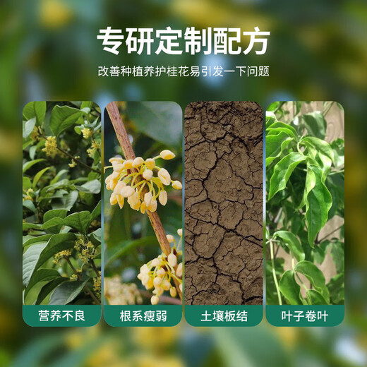Shangyang Osmanthus nutritious soil 8L home gardening flower soil flower plant planting soil granular soil organic soil