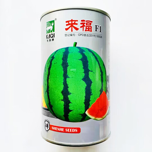 Suru Zaojia 8424 Watermelon Early Ripening Kirin Melon Xindumei Watermelon Seed Extra Large Kirin Super Sweet Seedless Melon Early Mature Resistant Laifu Watermelon Canned Approximately 500 Tablets (Anti-Cracking Early Maturity)
