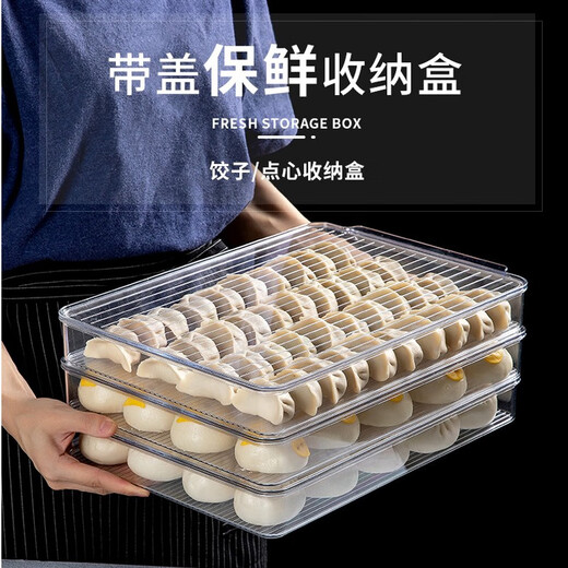 Home Story Japanese Dumpling Storage Box Refrigerator Food Grade Special Frozen Dumplings Wonton Quick Frozen Box Tray Fresh Box Dumpling Box PET Transparent (3 Packs) 1 Layer