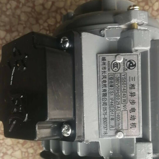 三相异步电动机YS AO2 5024/5014嵊州市长乐40W/60W长风油泵电机 AO2 5024 长乐40W电机