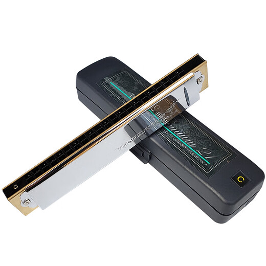 通宝日本原装进口 21孔复音口琴成人专业演奏级表演送人乐器口琴 3521 Am 和声小调