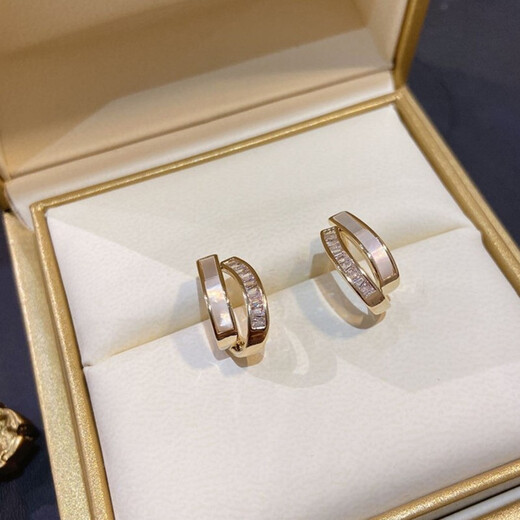 Idel double-layered earrings for women autumn niche simple earrings 2025 new Dongdaemun high-end earrings and earrings birthday gift shell double-layered earrings E0555