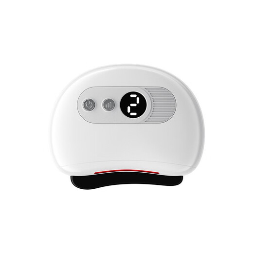 Smart Facial Bianstone Gua Sha Board Electric Facial Lifting Massage Beauty Microcurrent Introduction Instrument Tendon and Meridian Brush Bianstone Version White