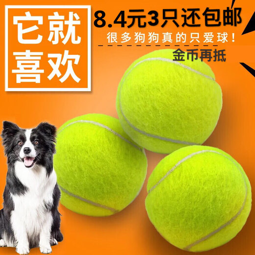Dog Toy Ball Golden Retriever Teddy Bouncy Ball Teeth Resistant Tennis Pet Puppy Labrador Puppy Training Pet Tennis Ball 3 Pack