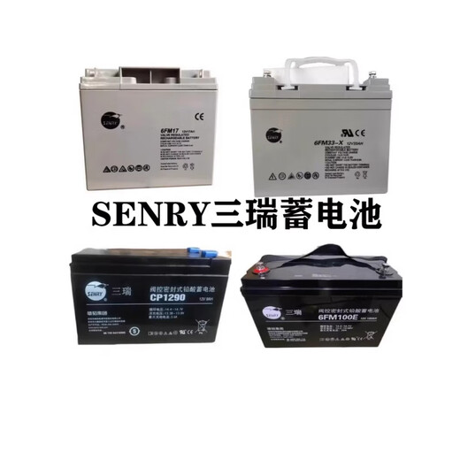 雄韬三瑞 VISION V蓄电池CP12240-X CP1265F 6FM33-X12v7ah 直流屏UPS消防通讯设备 CP1265F