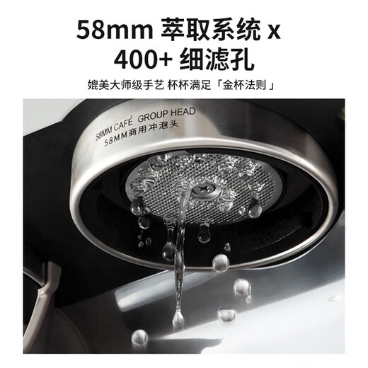 柏翠（petrus） 意式咖啡机全半自动家用奶泡机研磨一体机小型双泵双手柄PE3899 星光海盐白-带制冰机