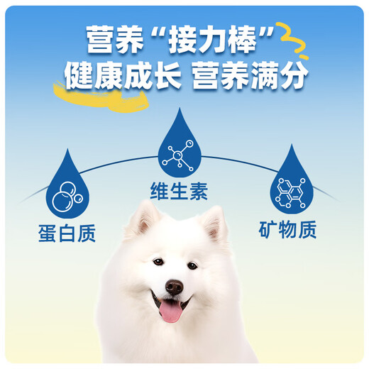 Jiu Sheng new product launch Jiu Sheng fish oil freeze-dried sticks for cats, teething sticks for dogs, freeze-dried cat snacks 1 pack